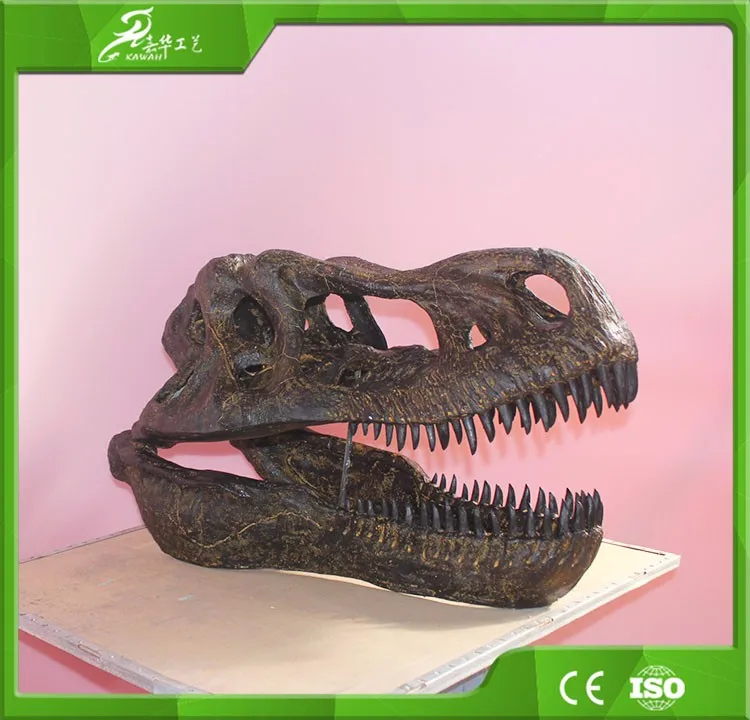 Kawah Real Museum Exhibition Fiberglass Dinosaur Skull Replica For Sale