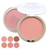 Cosmetic Mineral Blush Makeup Product Oem Customized Colors Blusher Compact Mineral Face Cheeks Powder for Facial Blush Set