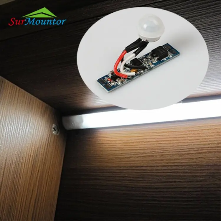 Low Voltage 12V Mini Micro Smart Switch Automatic Turn Off Pir Sensors Dc 24V Infrared Pir Motion Sensor For Long Distance