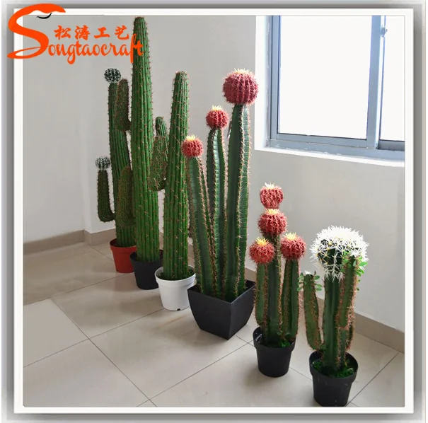 Factory Cheap Wholesale Large Cactus Indoor Or Outdoor Gardens