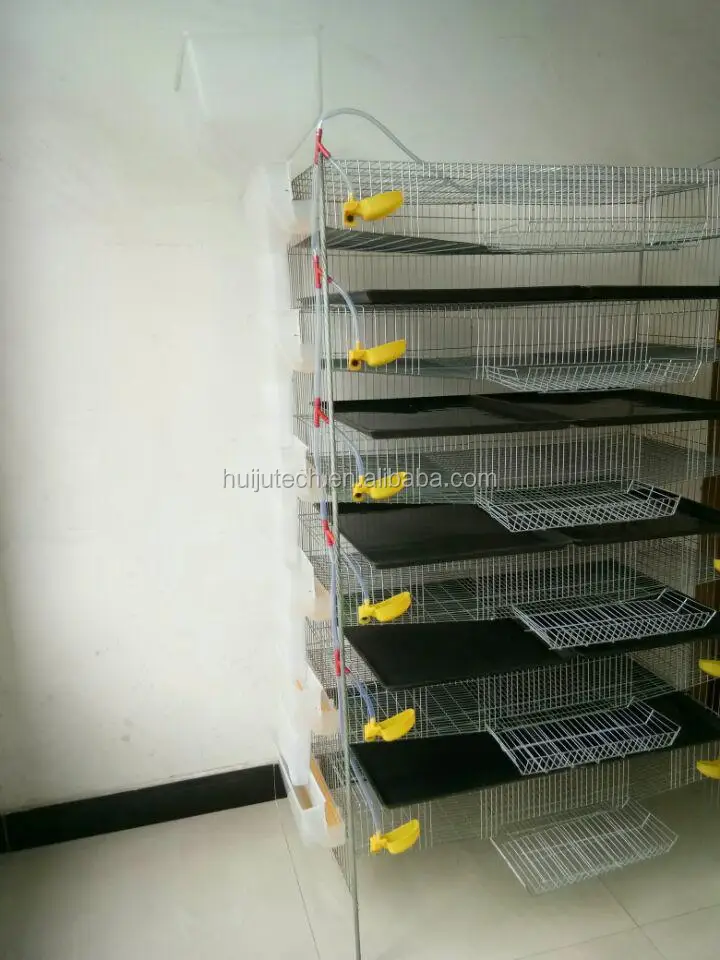 6 Layer 300 Quails Galvanized Wire Mesh Quail Cage Conforms With
