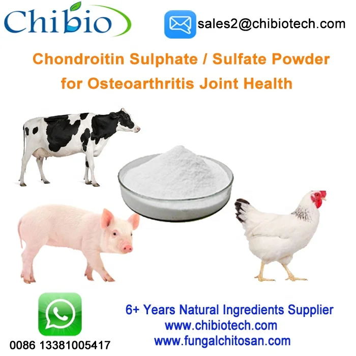 Purity 90 Raw Material Sodium Chondroitin Sulfate Powder Sourced From