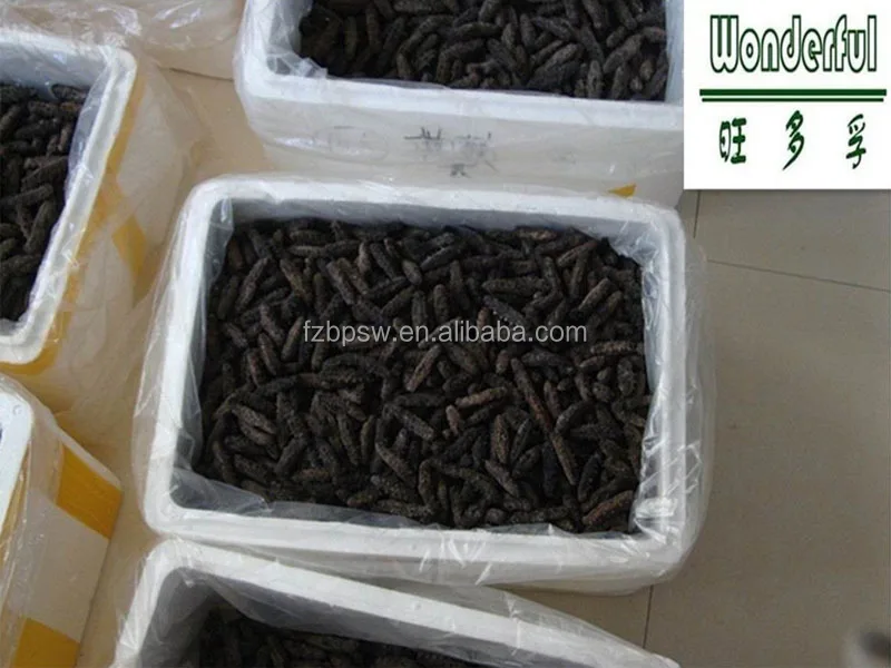 Wholesale Dried Sea Cucumber Buyers In China,Grade A Dry Sea Cucumber