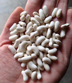 白インゲン豆種子純粋な自然種子 Buy 白豆種子 高収量豆 高生産的