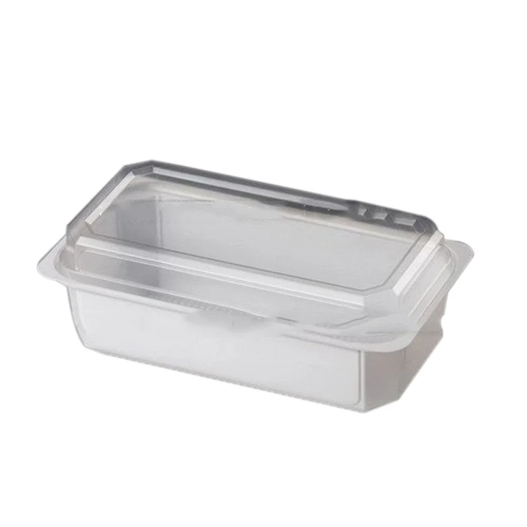 10 Sangles Élastiques Pour Boîte Bento - 5 Couleurs Nylon 25mm X 15cm