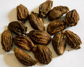 受け入れた マーク 予定 ブラック カルダモン Griffith Creation Com