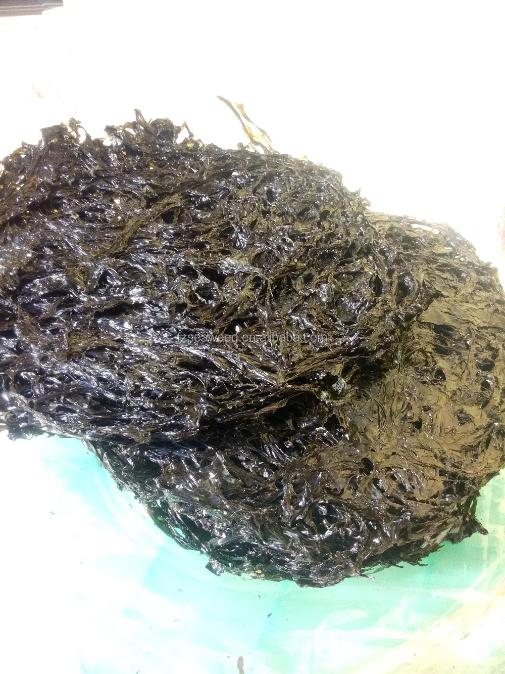 High Iodine Halal Seaweed/sushi Nori,Chinese Dried Nori/laver Seaweed