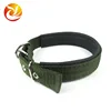 Adjustable Elastic Running Dog Leash With Reflective Stripe Nylon