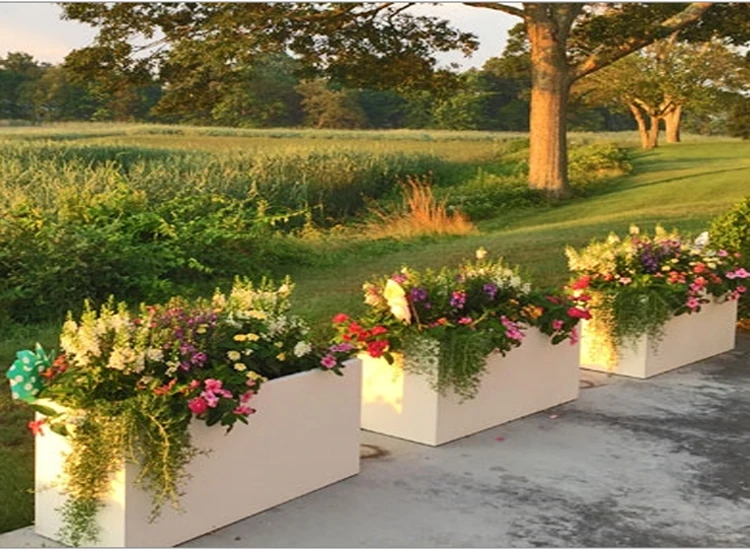 Rectangular Fruit Trough Planter Galvanized Fruit Trough Planter Galvanized