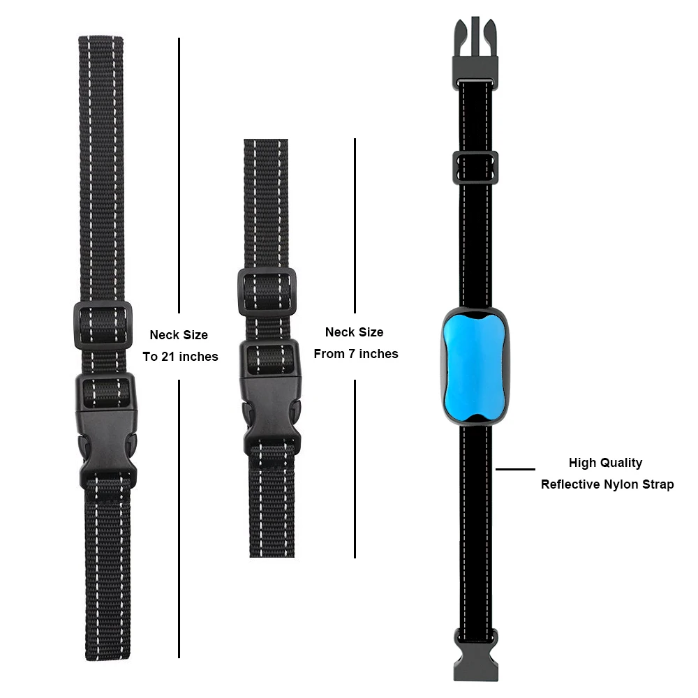 tz-pet683 002 blue.jpg