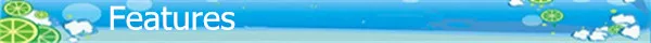 _features.jpg