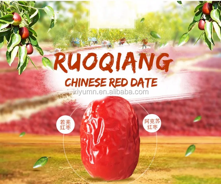 jujube fruit.jpg