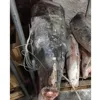 Frozen on board HGT Swordfish