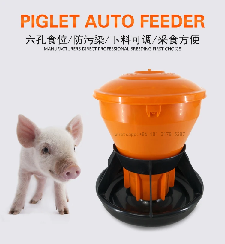 6 pig feeder.jpg