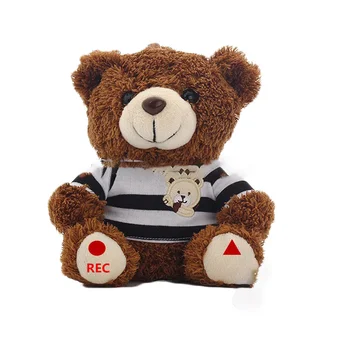 custom voice teddy bear