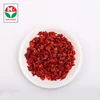 2019 new high cost performance reliable quality red bell pepper