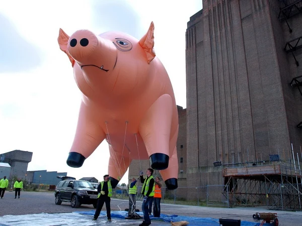 giant inflatable pig