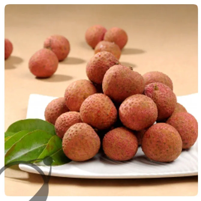 Canned Food List Of Canned Lychee Fruit In Syrup With Halal Sweets