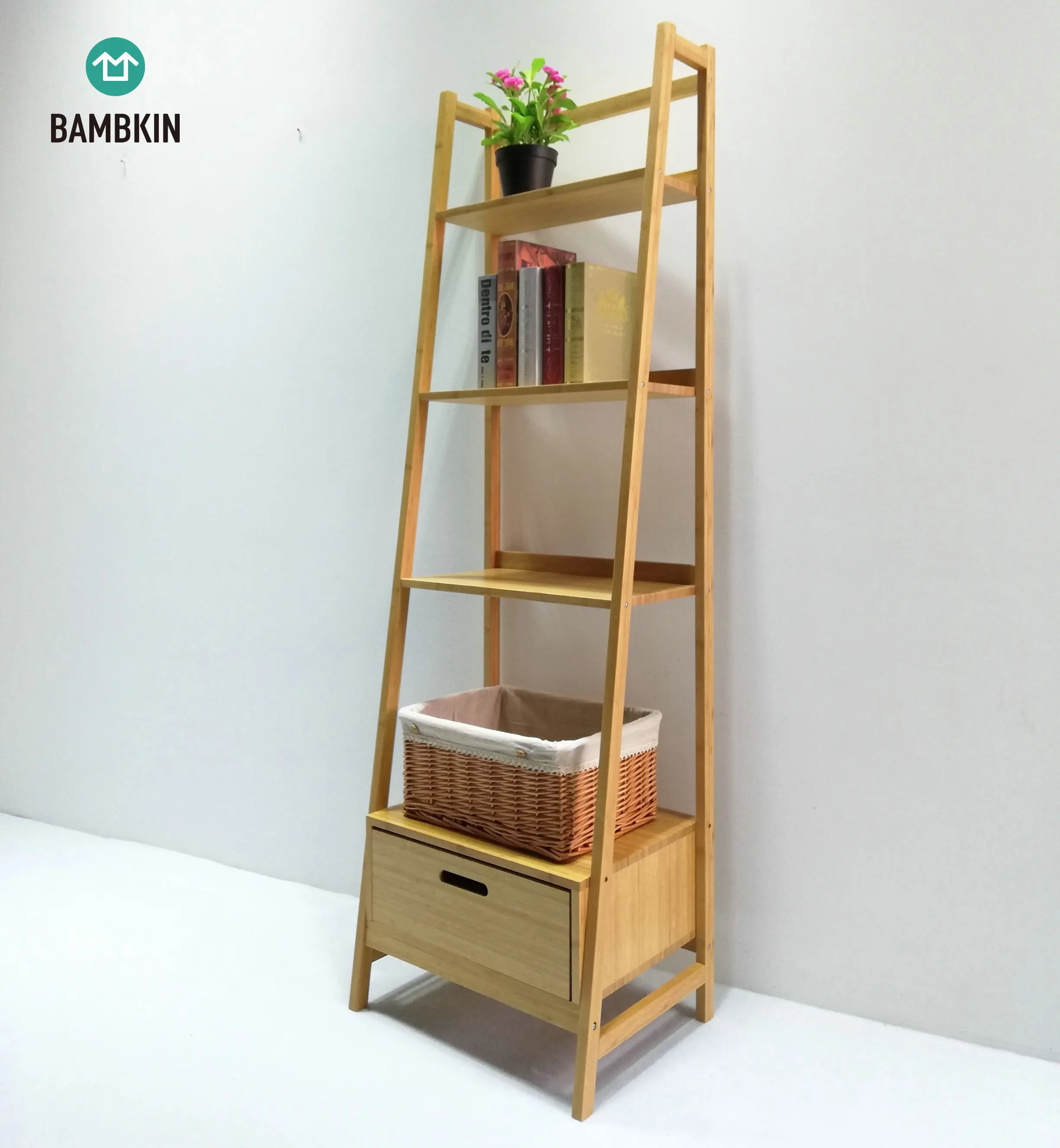ladder bookcase .jpg