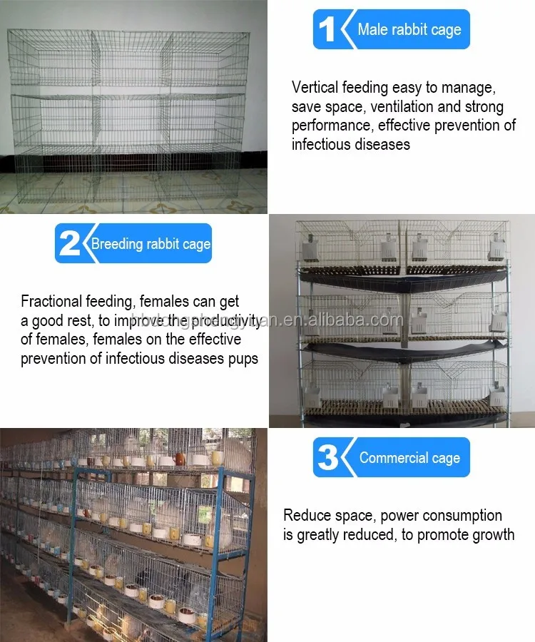 Cheap Rabbit Cages For Sale Stackable From Factory Buy Rabbit Cages