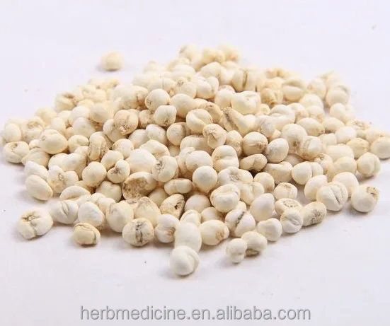 natural sulphur free unibract fritillary bulb from