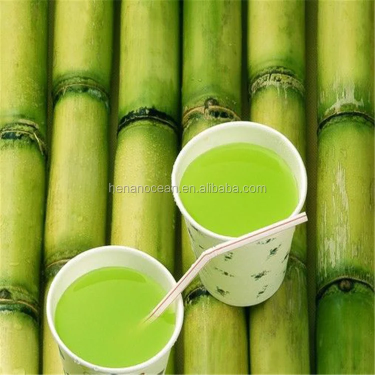 SugarCaneJuicer.png
