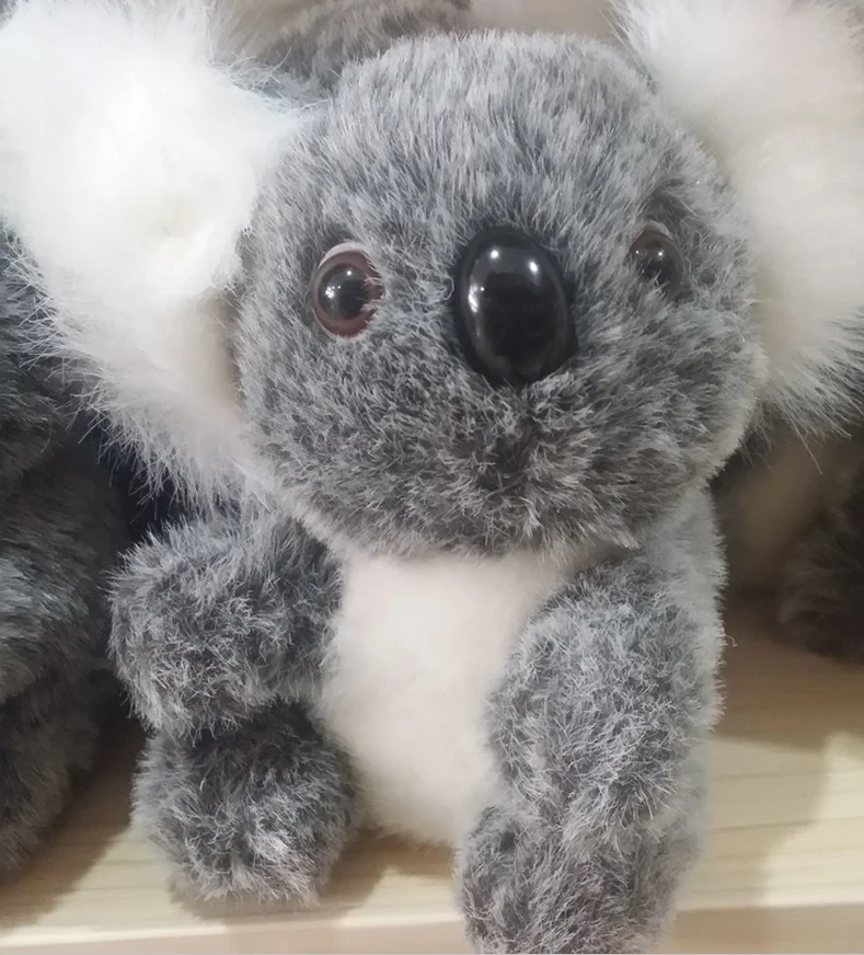 koala bears toys
