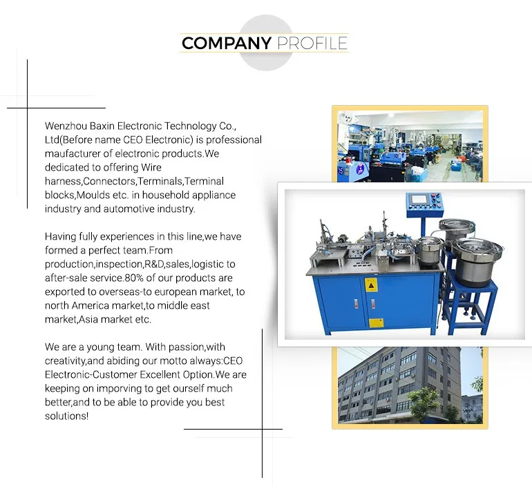 2company profile.jpg