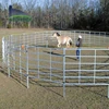 China hot sale portable fencing panels/ low price portable horse fencing/ portable horse fencing camping