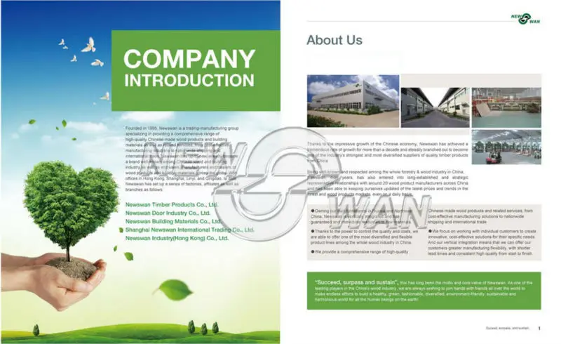 company introduction