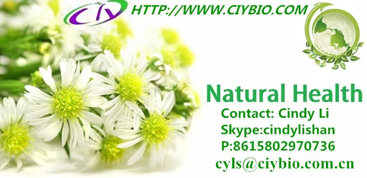 extract powder holy blackberry powder extract total flavone 20%