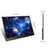 Wholesale 133 inch portable display LED LCD Computer Monitors 1920x1080 ips pc monitor