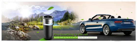 paste-pic-dp_uuid_oytnr