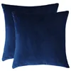 Square shaped super soft velvet cushion, comfortable throw pillow cushion for couch
