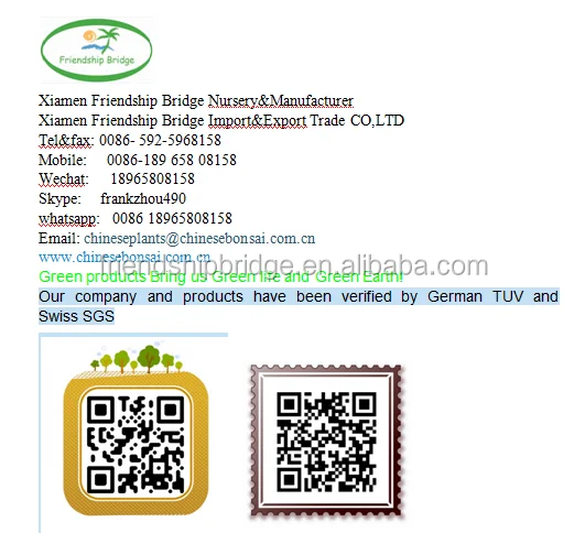 business card 2.png