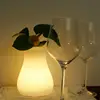Led Rechargeable Egg Light With Remote Controller
