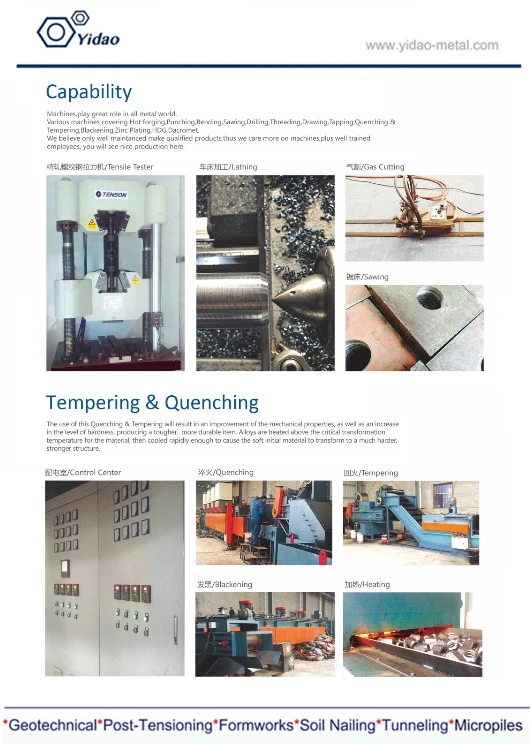 company profile1.jpg