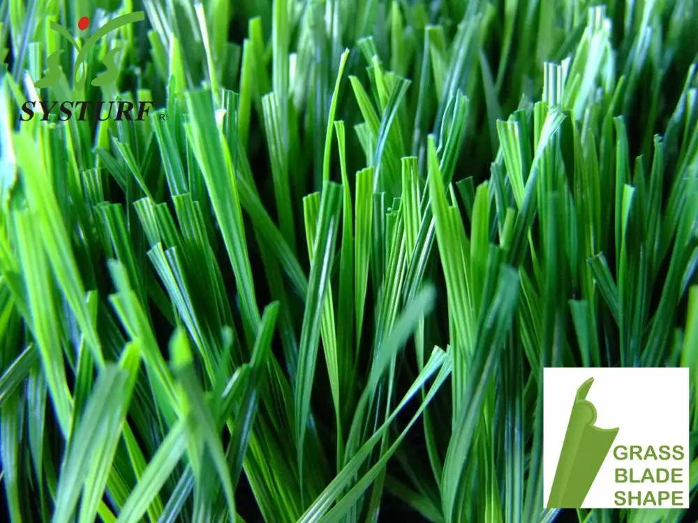 blade shape grass.jpg