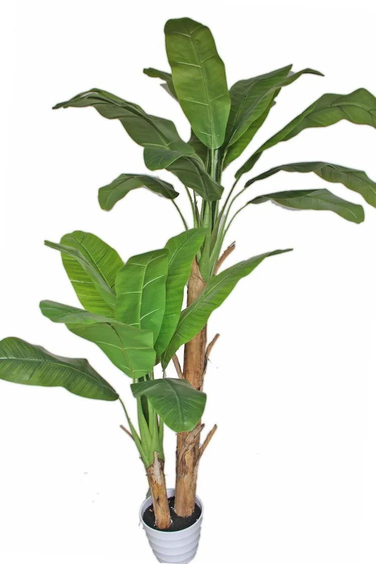 artificial banana leaf plants decorated banana tree evergreen