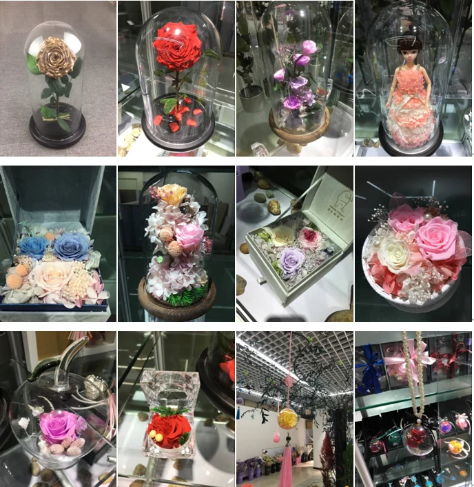 Preserved Real Flowers Natural Fresh Rose With Stem Buy Long Stem