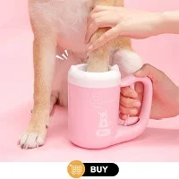 (2).jpg