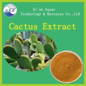 Hoodia Patch Free Trial