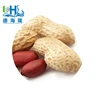 2018 Chinese raw peanut in shell 9/11 11/13 in bulk for wholesale