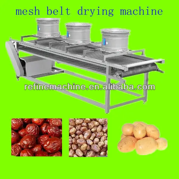 mesh belt date drying machine/equipment/plant