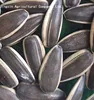 /product-detail/chinese-601-sunflower-seeds-in-shell-60782035599.html