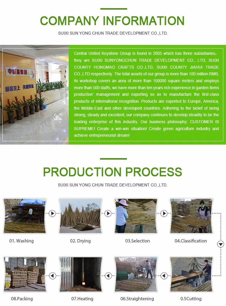 PVC Coated Color Bamboo Cane Flower Stick