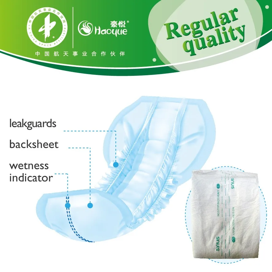Incontinent Adult Pant Diaper For Elderly Care,Old People Diaper Buy