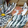 seafood quality control and testing inspection/ frozen food quality control/ final random inspection for food