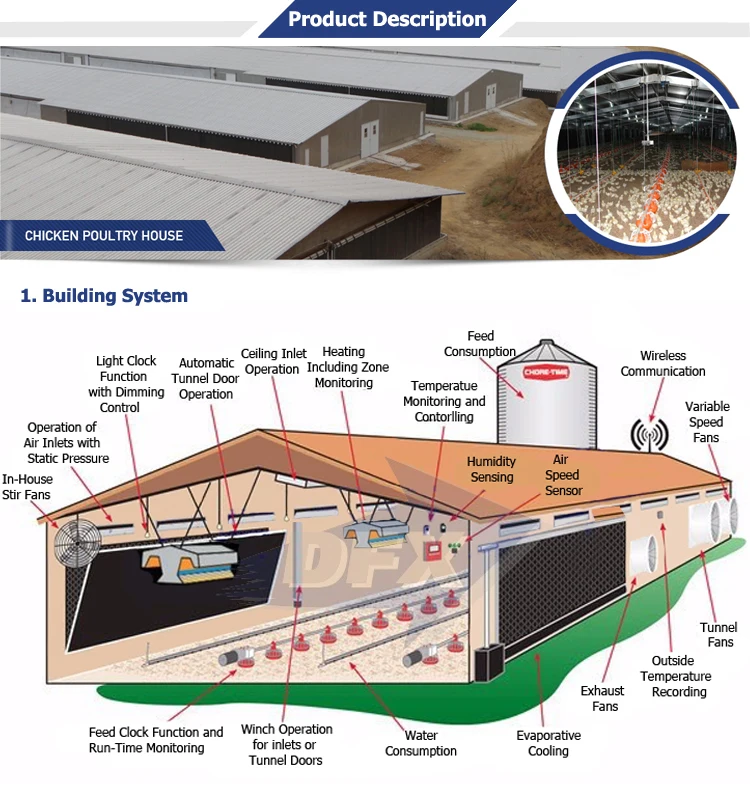 Broiler Poultry Farm Sheds House Design Used Steel Structure Material Poultry Warehouse Buy Poultry Warehouse Design Steel Poultry Warehouse Steel