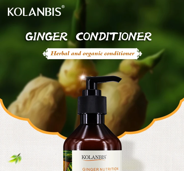Organic Ginger Conditioner Antihair Loss Deep Moisturizing Hair Care